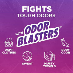 ARM & HAMMER Odor Blasters In-Wash Scent Booster,Laundry Scent Booster Fresh Escape-scent,24 Oz,(Pack of 2)