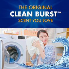 ARM & HAMMER Laundry Detergent, Clean Burst Liquid Laundry Detergent, 229.5 Fl Oz Bottle