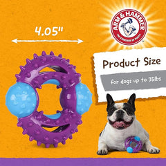 Arm & Hammer for Pets Nubbies Orion Dog Dental Toy| Best Dog Chew Toy for Moderate Chewers | Dog Dental Toy Helps Reduce Plaque & Tartar Without Brushing | Mint Flavor - 24 Pack