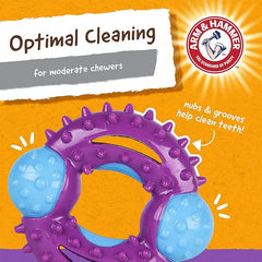 Arm & Hammer for Pets Nubbies Orion Dog Dental Toy| Best Dog Chew Toy for Moderate Chewers | Dog Dental Toy Helps Reduce Plaque & Tartar Without Brushing | Mint Flavor - 24 Pack