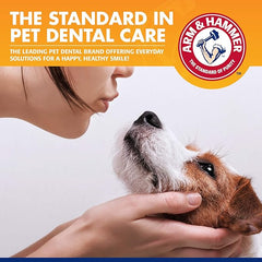 Arm & Hammer for Pets Tartar Control Enzymatic Toothpaste for Dogs Reduces Plaque & Tartar Buildup Safe for Puppies Beef Flavor, 2.5 Ounces Dog Toothpaste (Pack of 72)