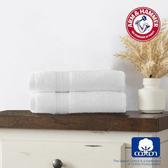 Arm & Hammer Quick Dry Hand Towels, 2 Piece, Khaki
