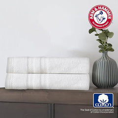 Arm & Hammer Performance Hand Towels, 2 Piece, Khaki