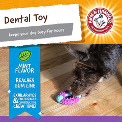 Arm & Hammer for Pets Nubbies Orion Dog Dental Toy| Best Dog Chew Toy for Moderate Chewers | Dog Dental Toy Helps Reduce Plaque & Tartar Without Brushing | Mint Flavor - 24 Pack